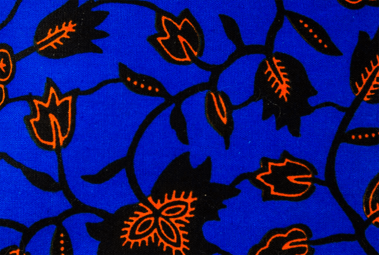 Carnet wax végétal